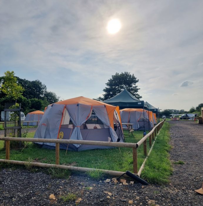 Hexagonal Tents in a fenced field