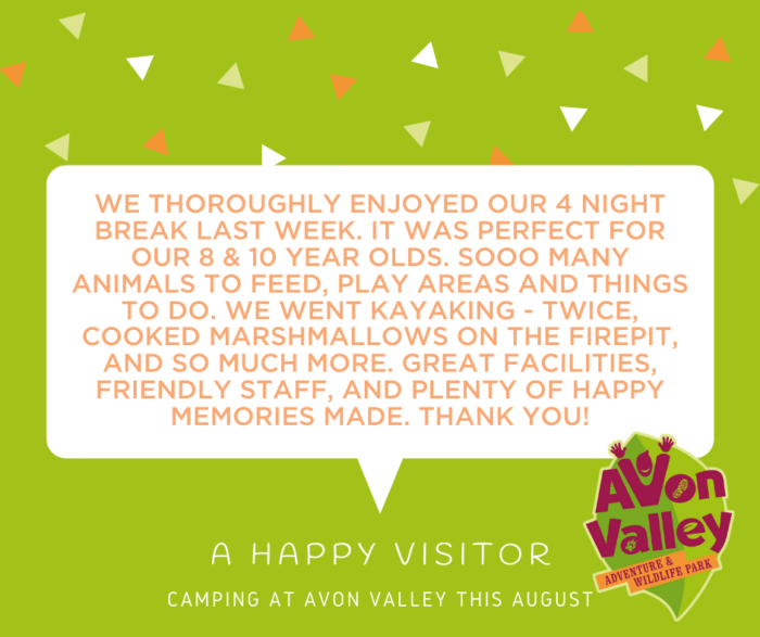 Camping Review