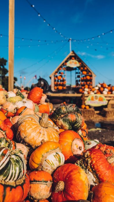 Pumpkin Patch Avon Valley Mobile Slide