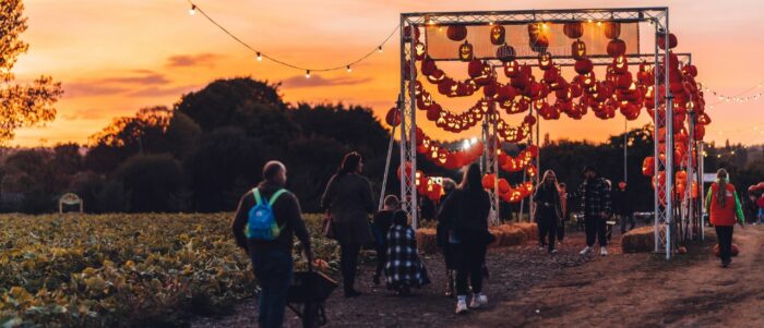 Avon Valley Pumpkin Patch Sunset